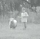 Ronald with Lamb